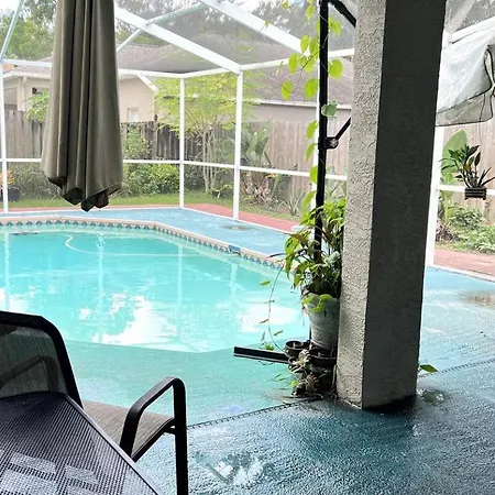 Room In Citrus Park And Carollwood, Close To The Airport & Downtown